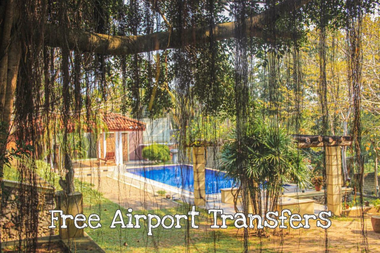 Airport Green Olive Villa Katunayaka Exteriör bild